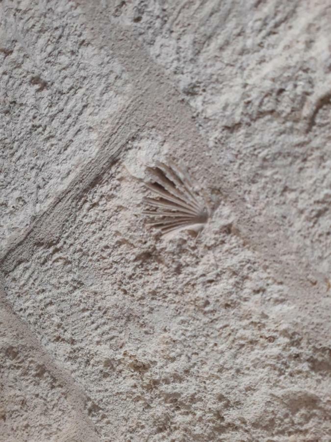 Apartament Dimora Sasi Locazione Turistica Polignano a Mare Zewnętrze zdjęcie